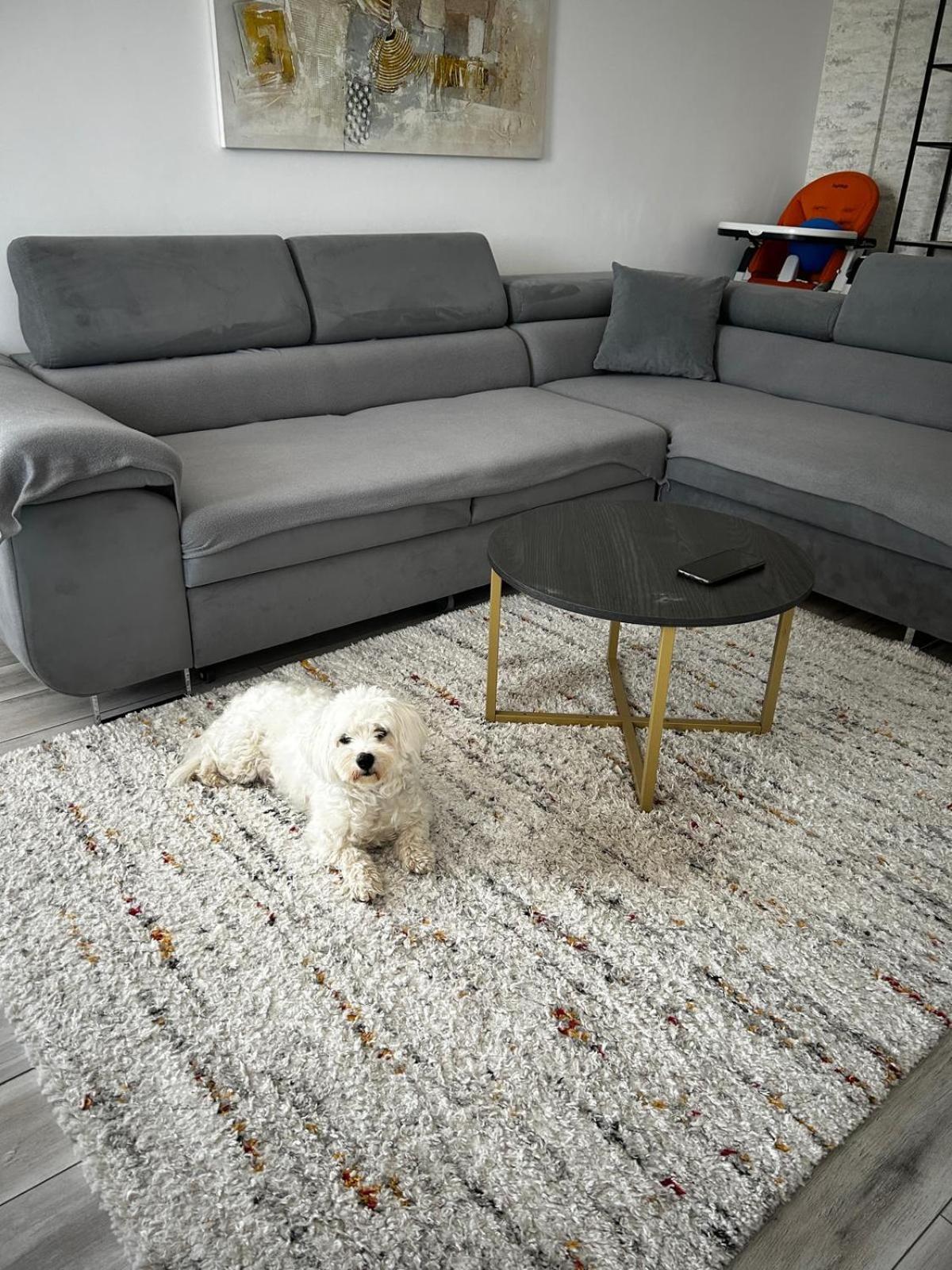 Mabu Apartment บราชอฟ ภายนอก รูปภาพ